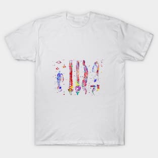 Human anatomy bones T-Shirt